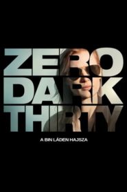 Zero Dark Thirty – A Bin Láden hajsza