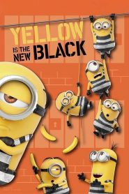 Minions – Yellow is the New Black