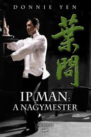 Ip Man 2 – A nagymester