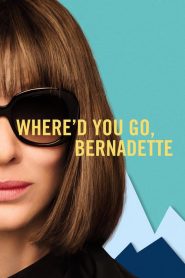 Hová tűntél, Bernadette?