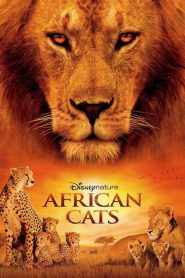 Afrikai macskák – A bátorság birodalma