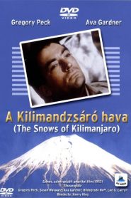 A Kilimandzsáró hava