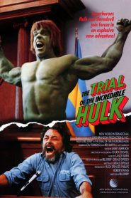 Hulk a bíróságon