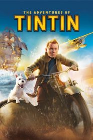 Tintin kalandjai