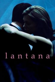 Lantana – A szövevény