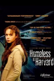 Hajléktalanul a Harvardon