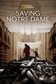 Notre-Dame: Újjáépíteni a csodát