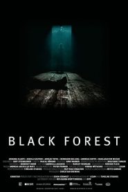 Fekete erdő