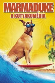 A kutyakomédia