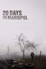20 nap Mariupolban