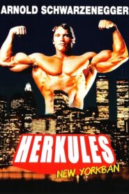 Herkules New Yorkban