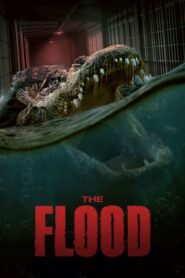 The Flood / Áradás